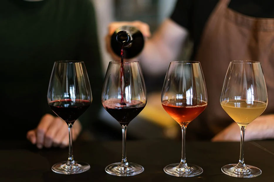 Cata de vino
