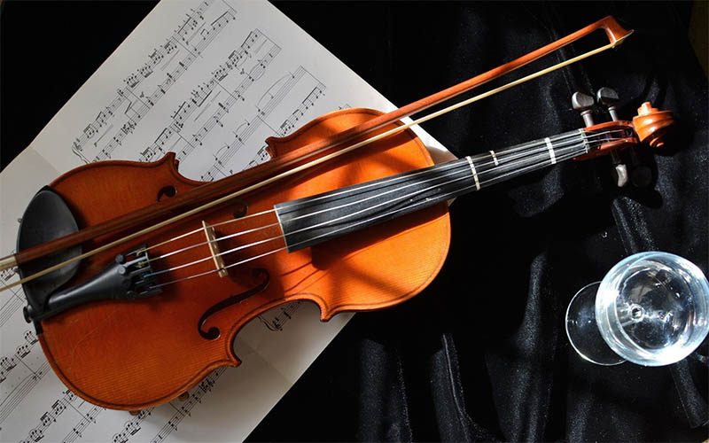 Violin