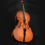Violonchelo