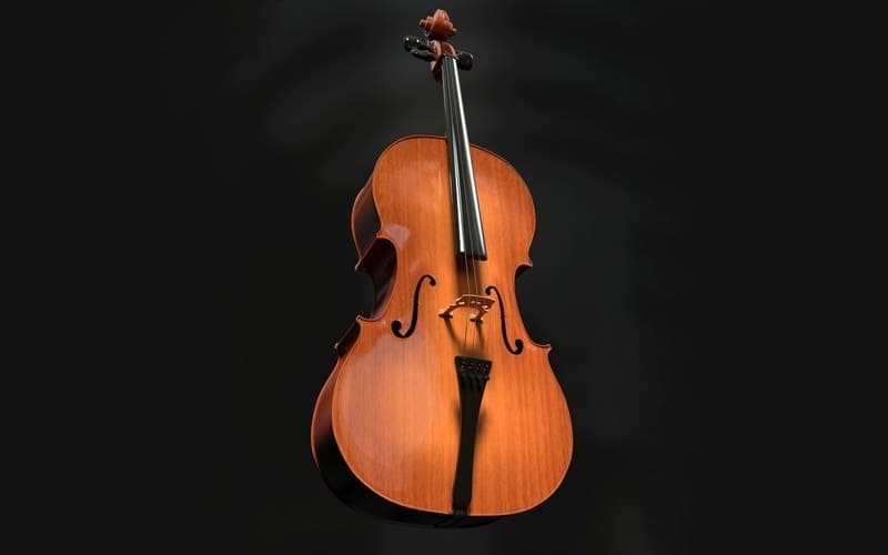 Violonchelo